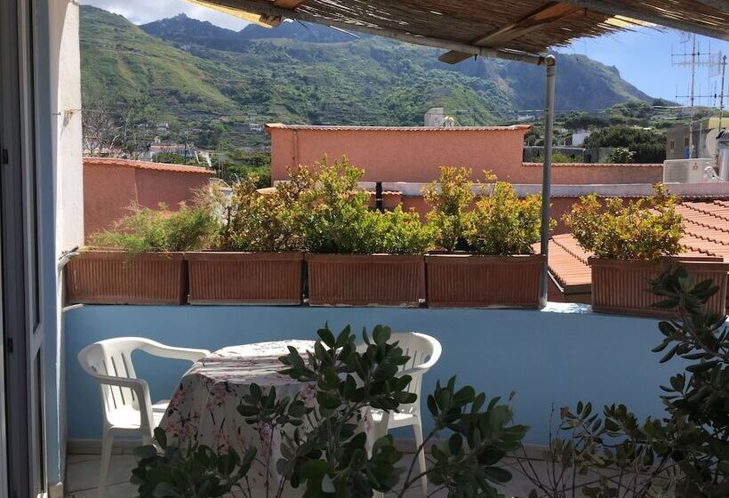 Standart Oda, Ring Hostel