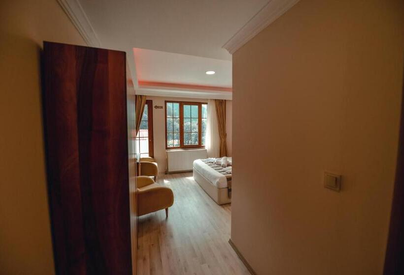 اتاق لوکس, Aygün Suites Hotel&bungalow Uzungöl