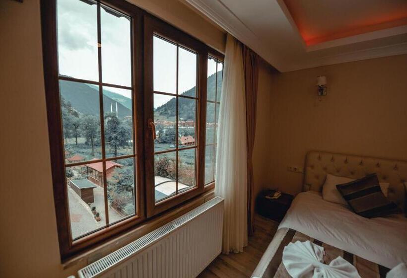 اتاق استاندارد با چشم‌انداز دریاچه, Aygün Suites Hotel&bungalow Uzungöl