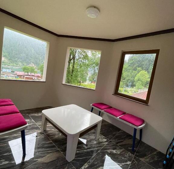 带1个卧室的豪华别墅, Aygün Suites Hotel&bungalow Uzungöl