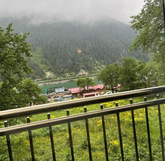 带1个卧室的豪华别墅, Aygün Suites Hotel&bungalow Uzungöl