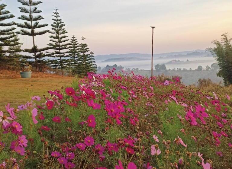 ویلای 1 خوابه, Phuyafahsai The Resort Khao Kho