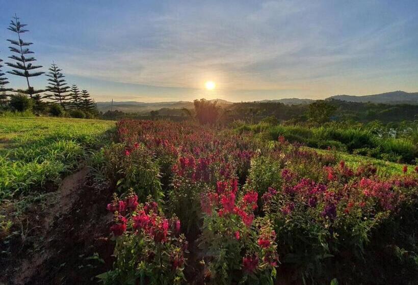 ویلای 1 خوابه, Phuyafahsai The Resort Khao Kho