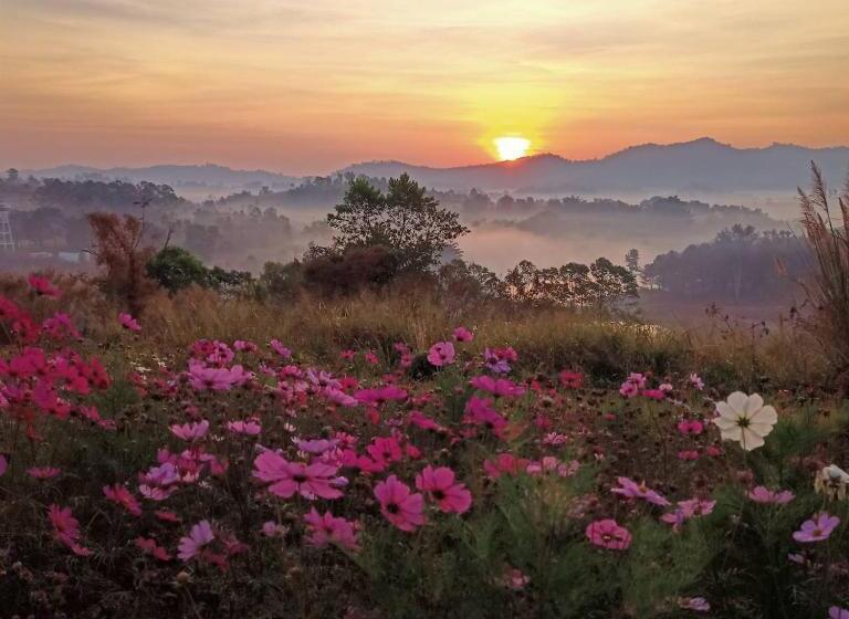 ویلای 1 خوابه, Phuyafahsai The Resort Khao Kho