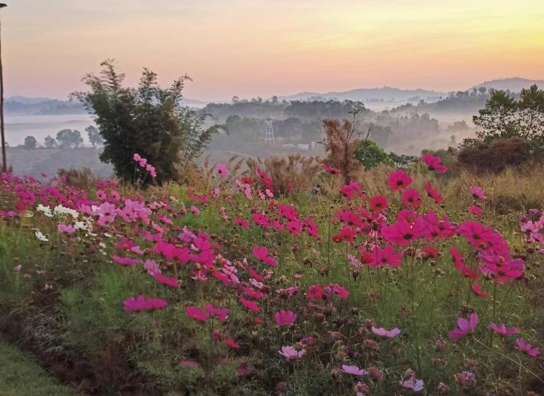 ویلای 1 خوابه, Phuyafahsai The Resort Khao Kho