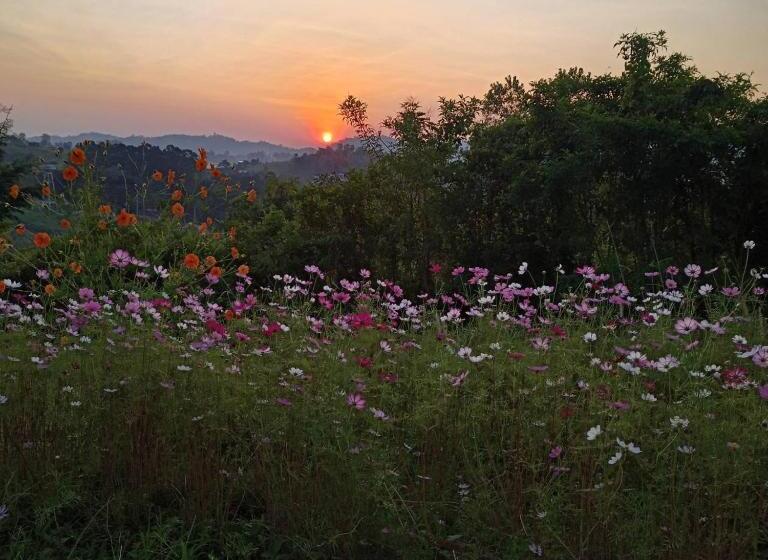 ویلای 1 خوابه, Phuyafahsai The Resort Khao Kho