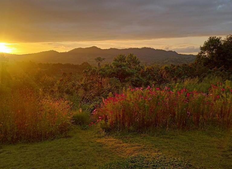 ویلای 1 خوابه, Phuyafahsai The Resort Khao Kho