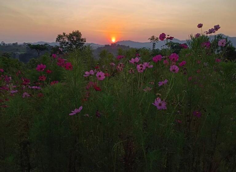 ویلای 1 خوابه, Phuyafahsai The Resort Khao Kho