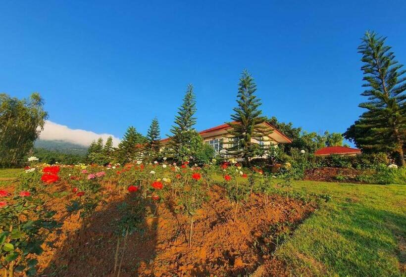 ویلای 1 خوابه, Phuyafahsai The Resort Khao Kho