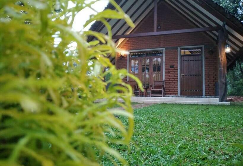 ファミリールーム, Sigiriya Nature Resort