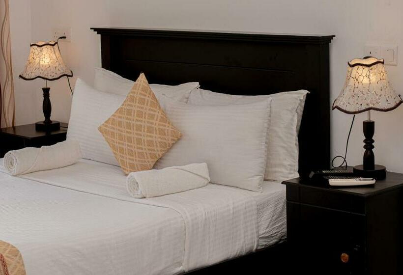 디럭스 룸, 4 Aces Ella