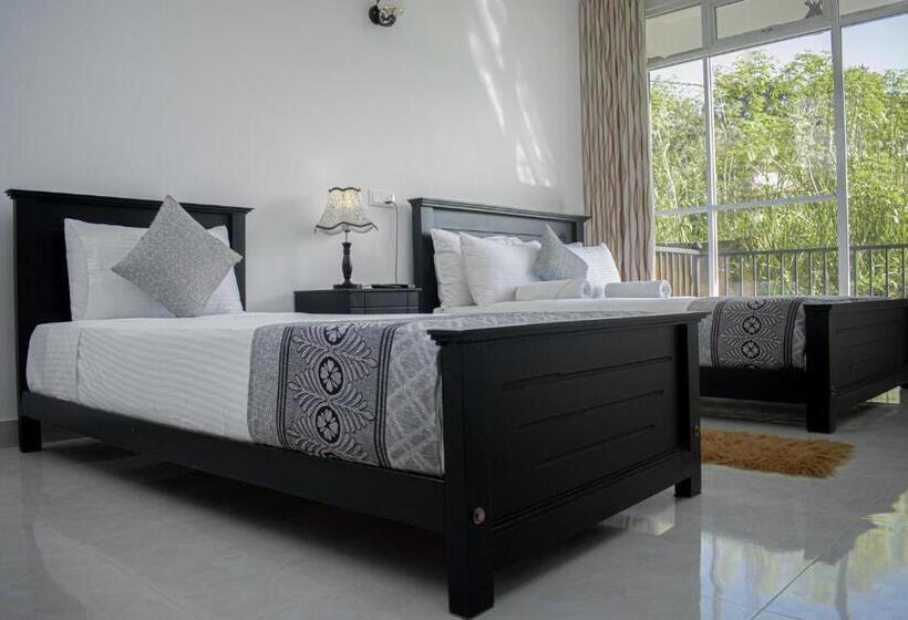 디럭스 트리플 룸, 4 Aces Ella