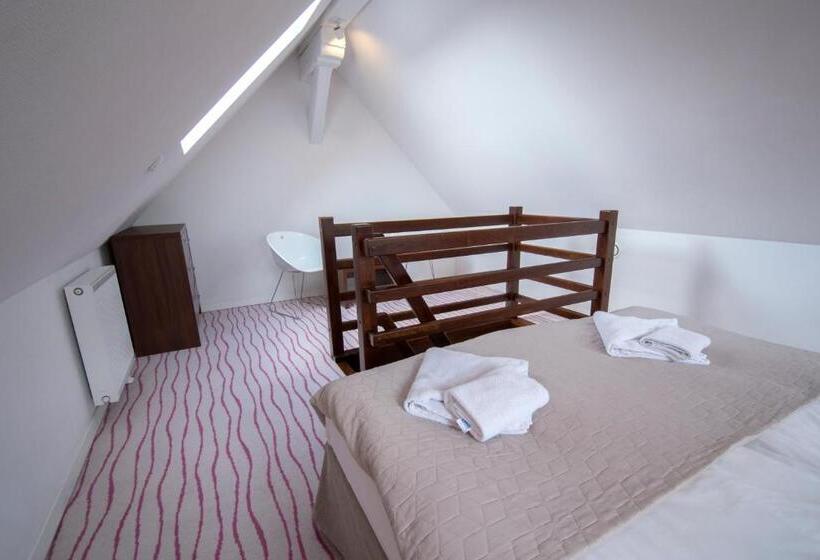 آپارتمان دوبلکس 1 خوابه, Aparthotel Flinski Sport & Spa