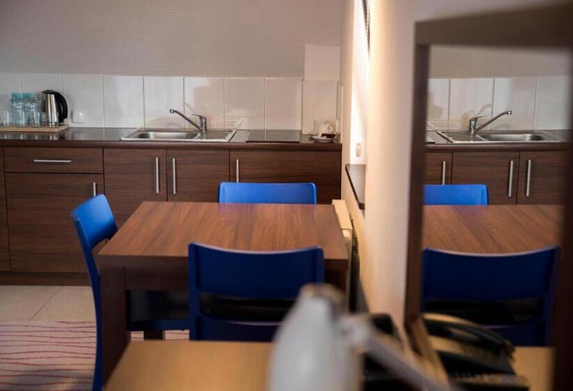 آپارتمان دوبلکس 1 خوابه, Aparthotel Flinski Sport & Spa