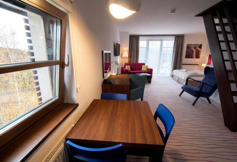 Апартаменты Дюплекс 1 Спальня, Aparthotel Flinski Sport & Spa