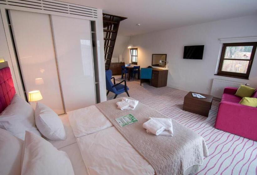آپارتمان دوبلکس 1 خوابه, Aparthotel Flinski Sport & Spa