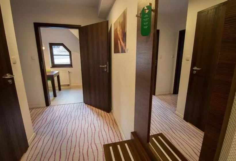 １ベッドルームのデラックスアパートメント, Aparthotel Flinski Sport & Spa