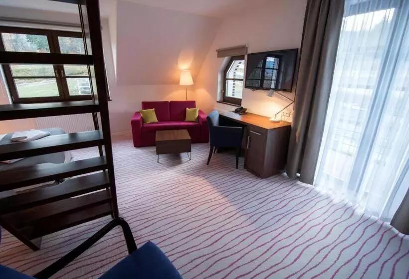 １ベッドルームのデラックスアパートメント, Aparthotel Flinski Sport & Spa