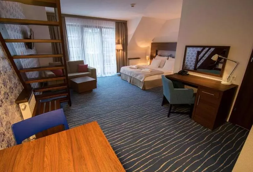 １ベッドルームアパートメント, Aparthotel Flinski Sport & Spa