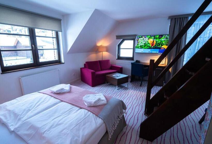 Апартаменты Deluxe 1 Спальня, Aparthotel Flinski Sport & Spa