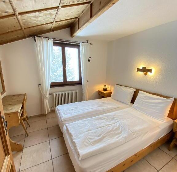 דירה בת חדר שינה 1 עם נוף, Chesa Silva Silvaplana