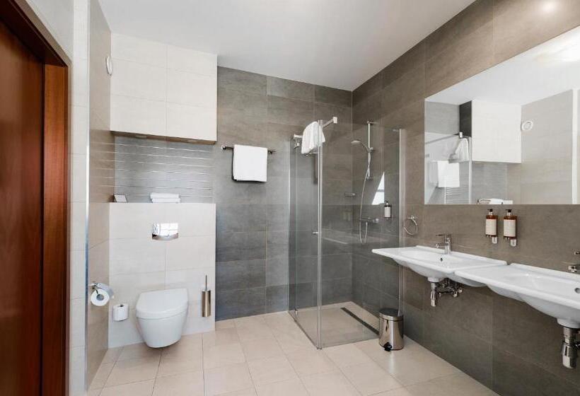 آپارتمان 1 خوابه, Focus Hotel Premium Elbląg