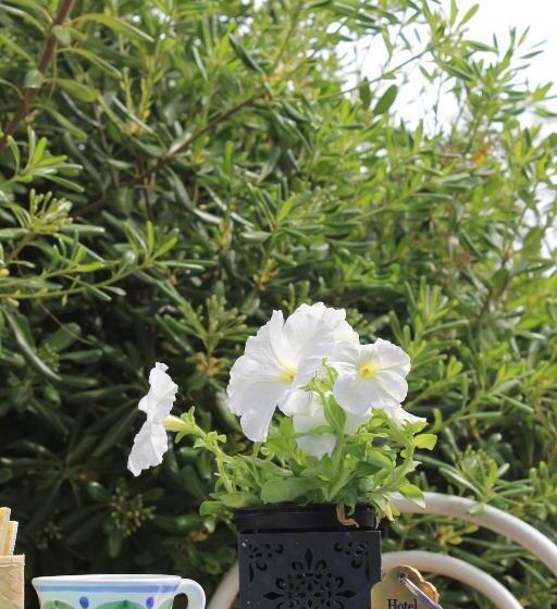 バルコニー付きスタンダードルーム, Il Miraggio