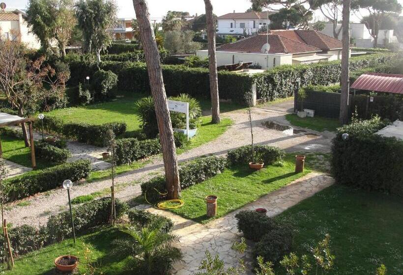 ベーシックルーム, Il Miraggio