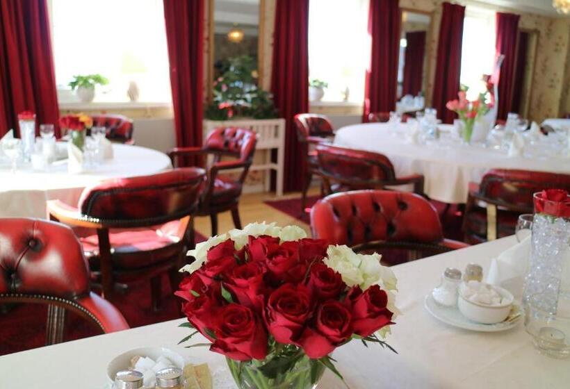 اتاق استاندارد یک نفره, Vänerport Lakefront Hotell