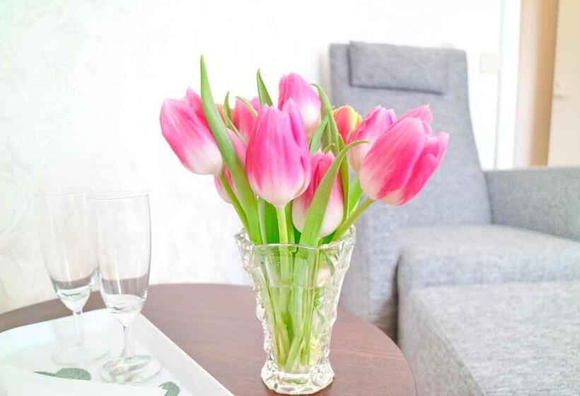 اتاق استاندارد یک نفره, Vänerport Lakefront Hotell