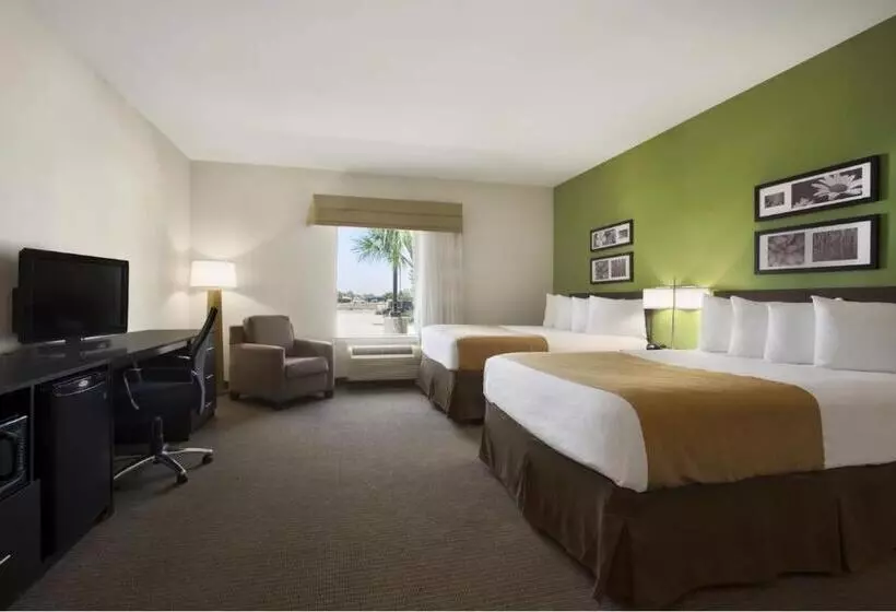 身障者適用スタンダードルーム, Petrostay Inn & Suites Cotulla