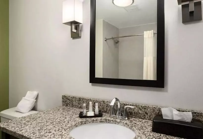 身障者適用スタンダードルーム, Petrostay Inn & Suites Cotulla