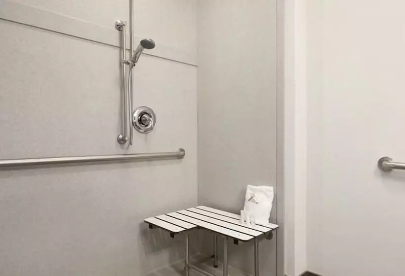 身障者適用スタンダードルーム, Petrostay Inn & Suites Cotulla