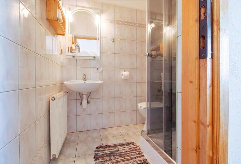 スタンダード４人部屋, Pokoje Gościnne Góraleczka