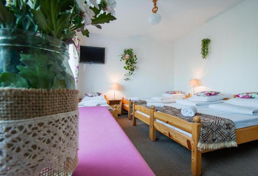 スタンダード5人部屋, Pokoje Gościnne Góraleczka