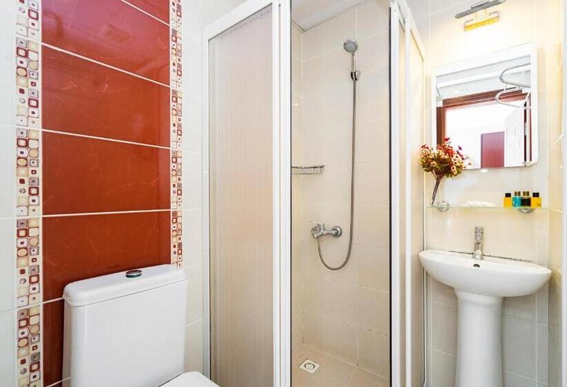 シティビューのデラックスルーム, Sayeban Hotel Istanbul