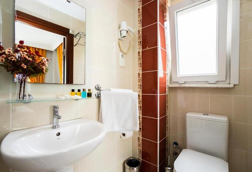 シティビューのデラックスルーム, Sayeban Hotel Istanbul