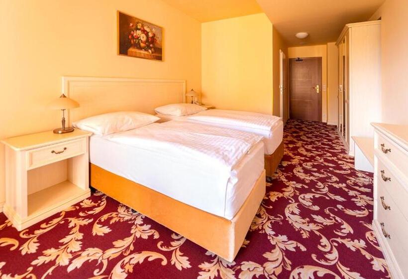 클래식 룸, Spa Hotel Vita