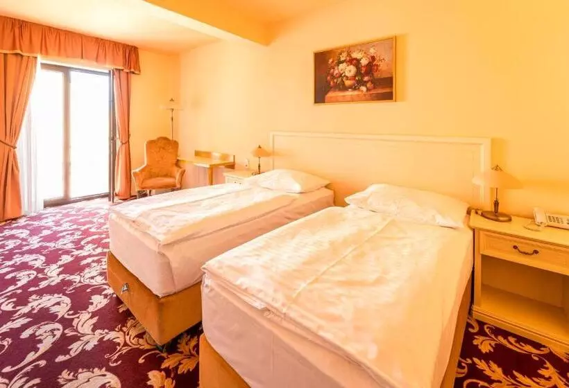 クラシックルーム, Spa Hotel Vita