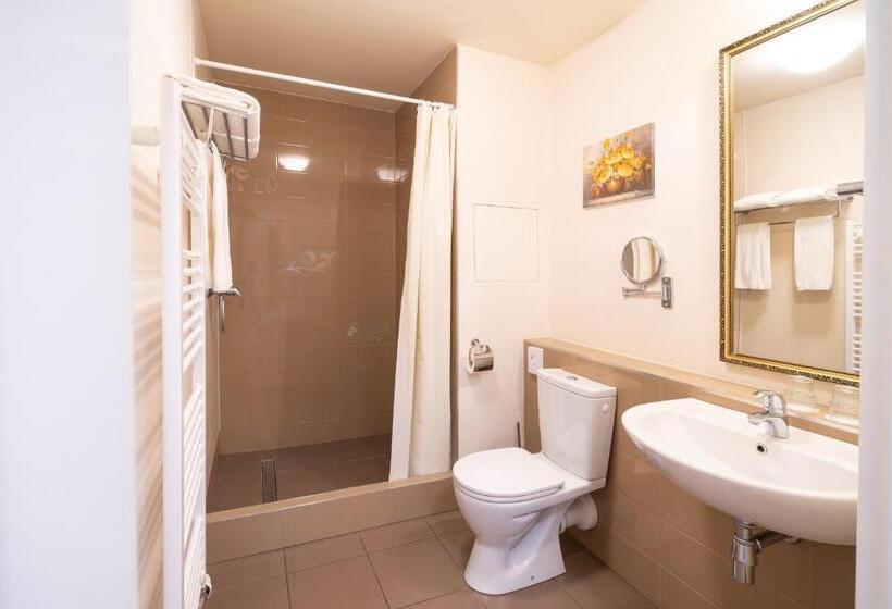 클래식 룸, Spa Hotel Vita