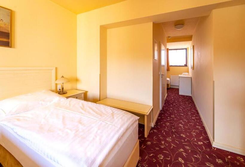 舒适三人间, Spa Hotel Vita