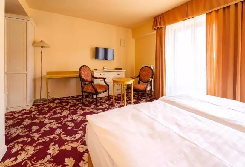 クラシックシングルルーム, Spa Hotel Vita