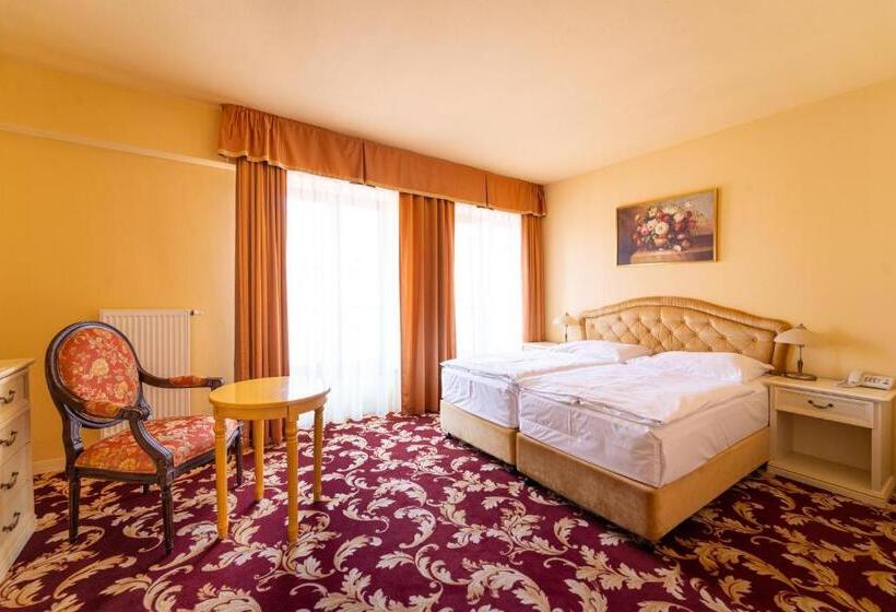 클래식 싱글 룸, Spa Hotel Vita