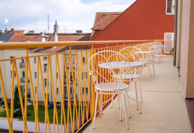 클래식 싱글 룸, Spa Hotel Vita