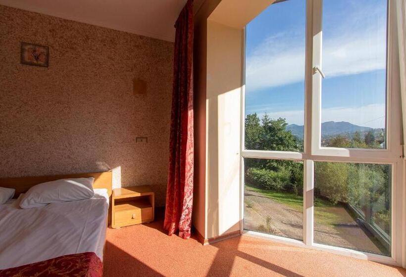 اتاق استاندارد, Terem