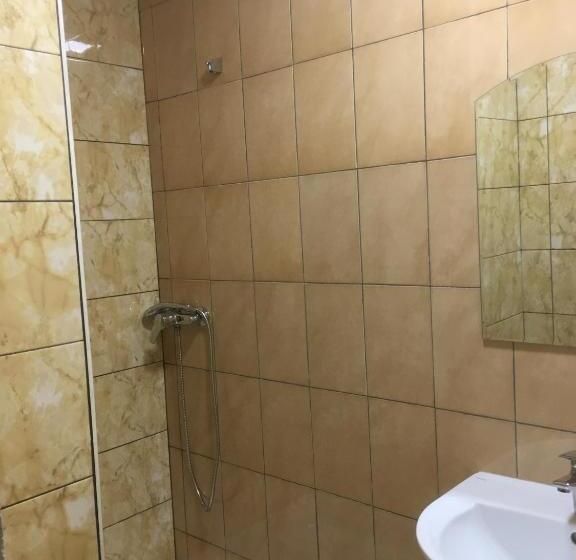 اتاق اکونومی, Terem