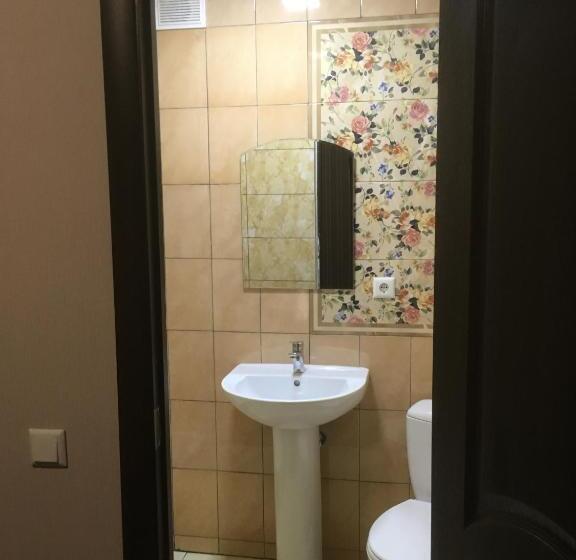 اتاق اکونومی, Terem