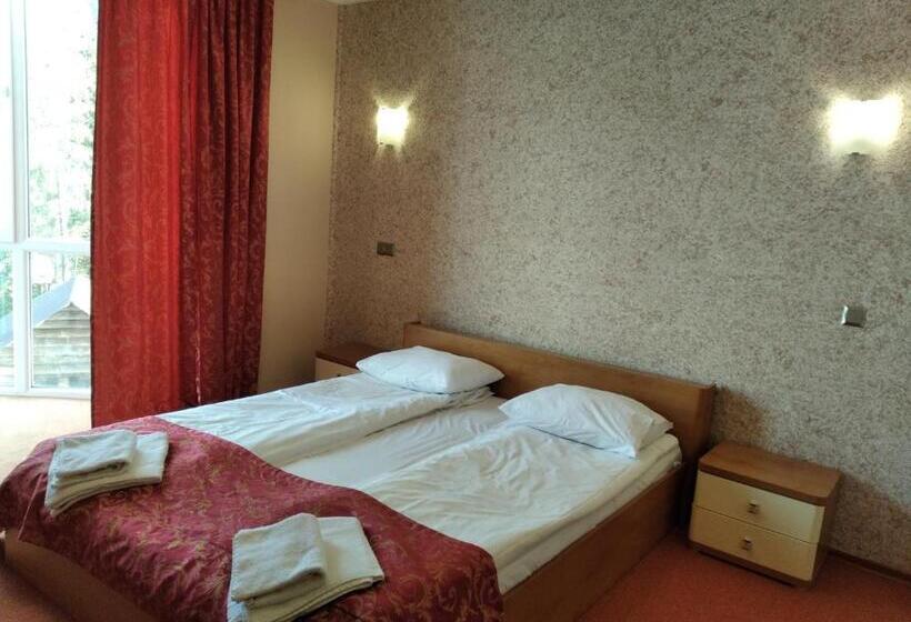 اتاق استاندارد, Terem