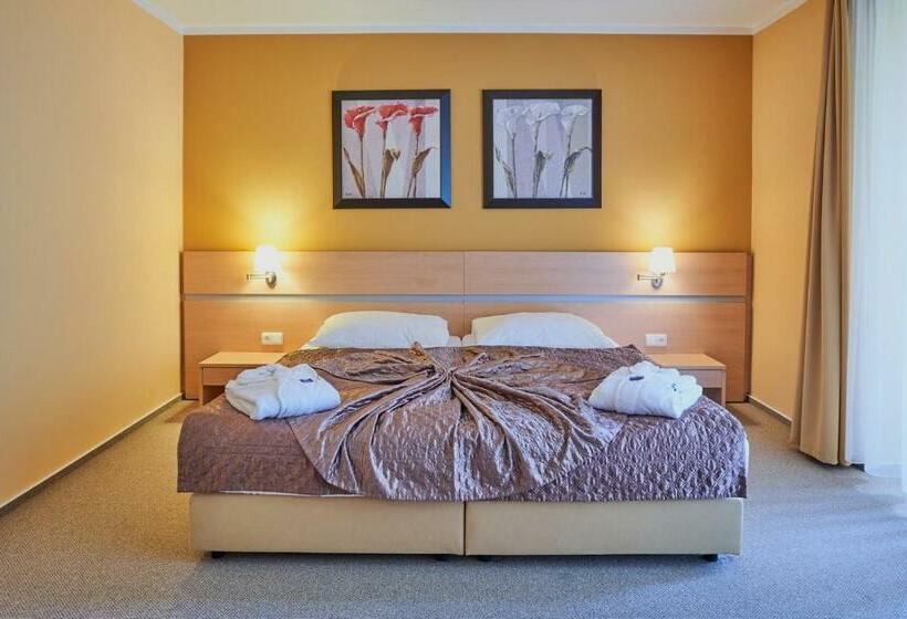 Номер Стандарт, Kurhotel Brussel