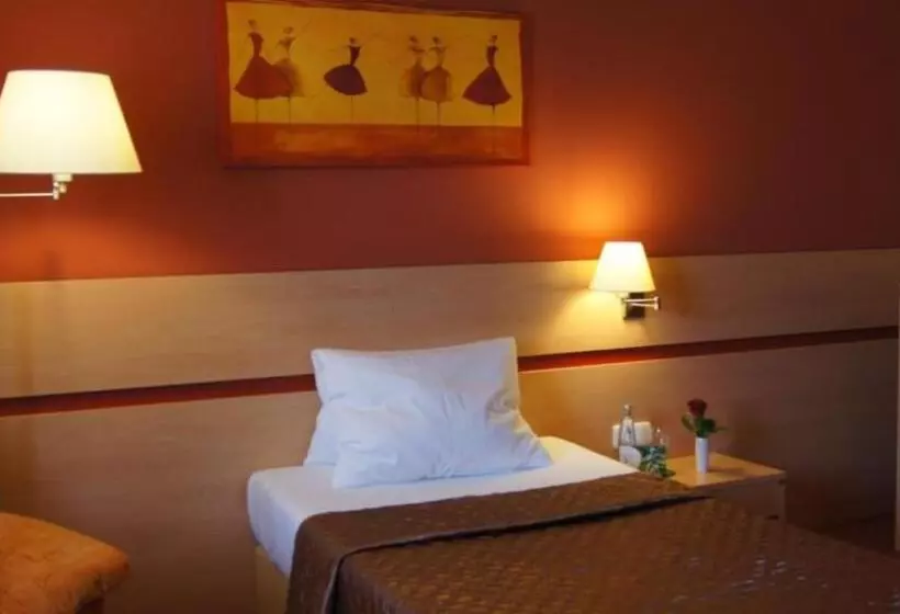 スタンダードシングルルーム, Kurhotel Brussel